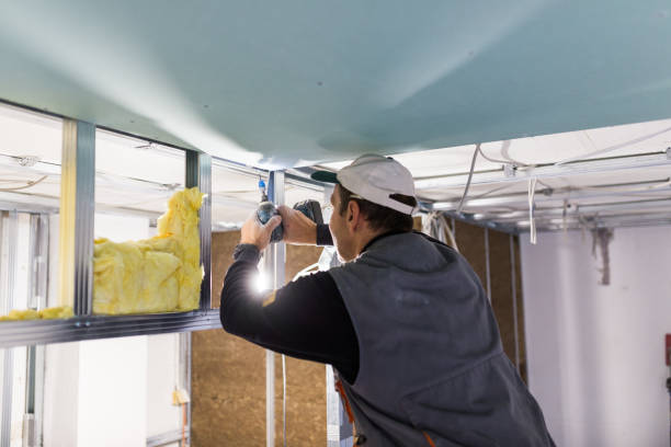 Best Insulation Contractor Near Me  in Carolina Shores, NC