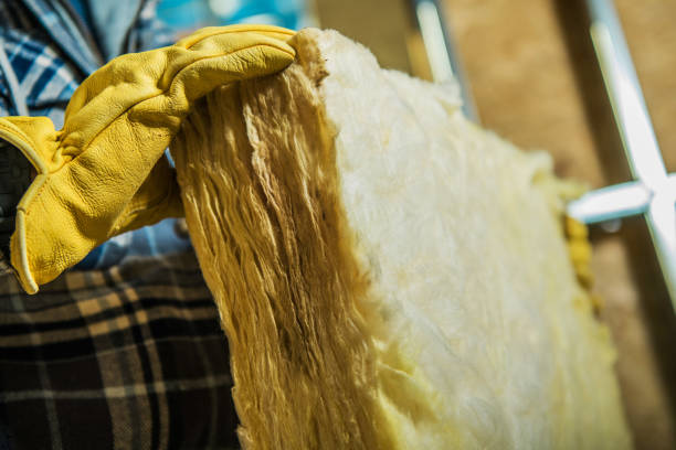 Best Insulation Replacement Services  in Carolina Shores, NC